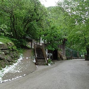Wolf observation hut