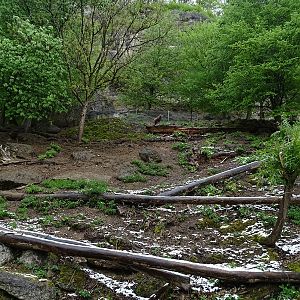 First chamois enclosure