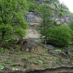 Second chamois enclosure