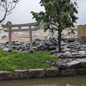 Japanese Macaque Enclosure