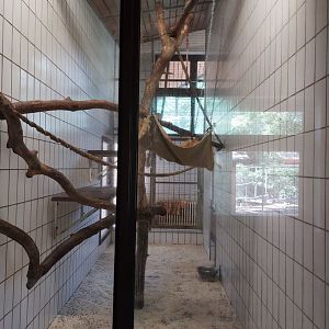 Second indoor capuchin monkey exhibit