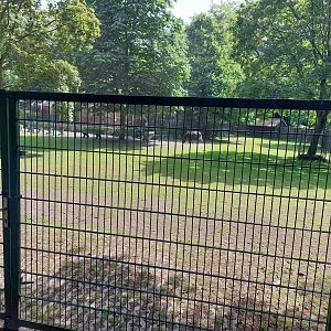 Enclosure for Shetland ponys