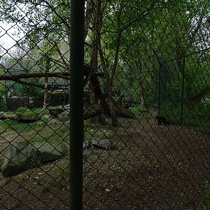 Wolverine enclosure