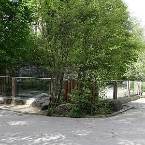 Humboldt penguin enclosure