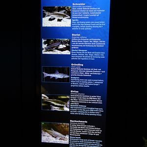 Haus der Natur Salzburg:  Signage example