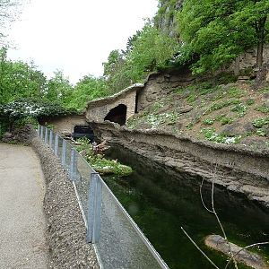 European otter enclosure with chamois enclosure in the back