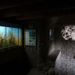 The 'cove' with harvest mice and viewing into the otter and chamois enclosure