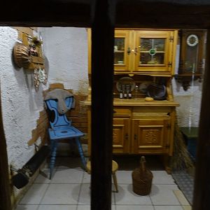 Mouse house: House mouse enclosure