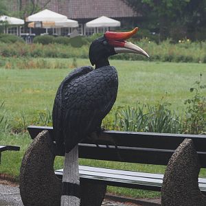 Rhinoceros hornbill statue on bench, 2024-05-22