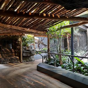 Binturong and Clouded Leopard exhibits