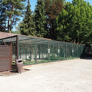 Australian parrot aviary block, 2024-05-23