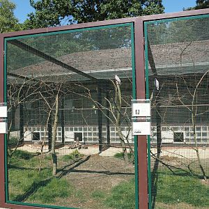Australian parrot and Bush stone-curlew aviary, 2024-05-23