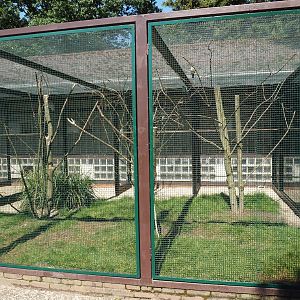 Australian parrot aviary, 2024-05-23
