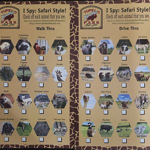 Tupelo Buffalo Park - Checklist