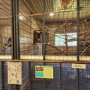 Tupelo Buffalo Park - Sloth enclosure