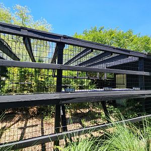 Tupelo Buffalo Park - Coati/Fennec Fox exhibits