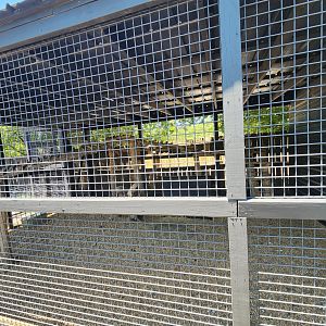 Tupelo Buffalo Park - Caracal enclosure