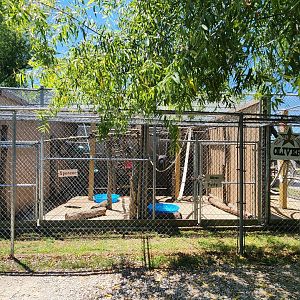 Tupelo Buffalo Park - "Famous monkeys" exhibit row