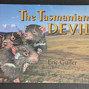The Tasmanian Devil