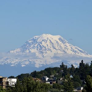 View of Mount Rainier/Tahoma
