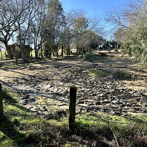 Rhino Wallow (Lower Paddock)