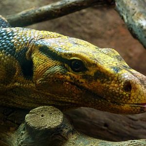 Mindanao Water Monitor