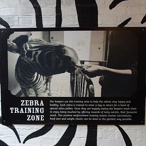 Zebra Training Zone Sign