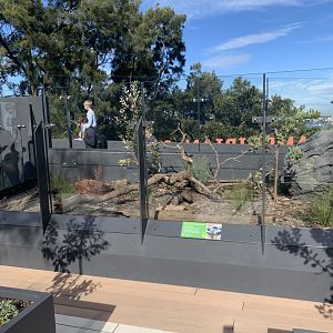 Red bellied black snake enclosure (arc)