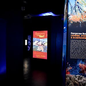 Great Barrier Reef area