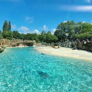 California Sea Lion Enclosure