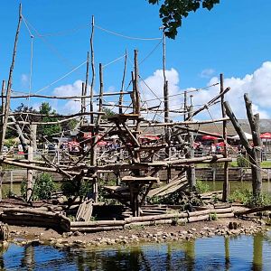 Spider Monkey Island