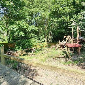 Arctic Fox Enclosure
