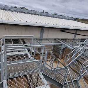 Polar Bear Backstage