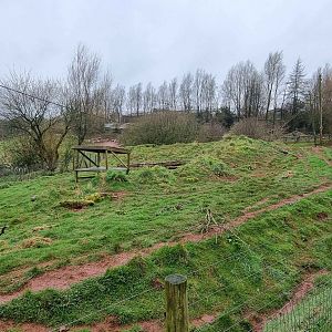 Maned Wolf Enclosure