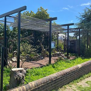Kookaburra aviary, ZSL Whipsnade, UK