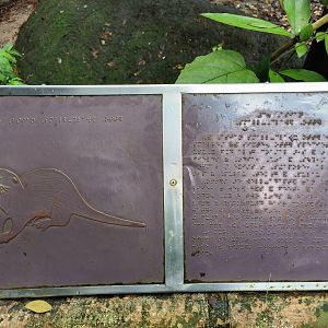 Braille Label for Small-Clawed Otters