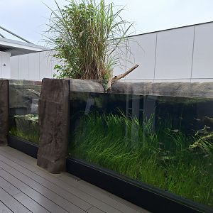 Freshwater tanks