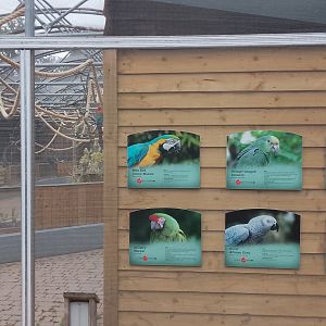 Former Butterfly House