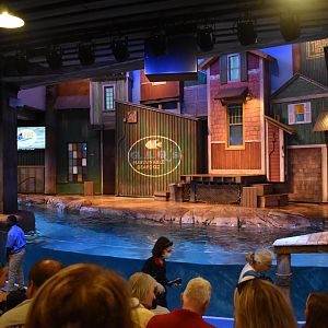 Sea Lion Show Stage