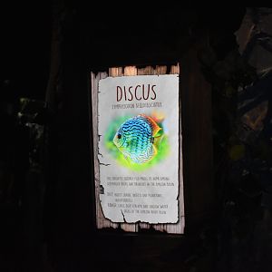 Discus Signage