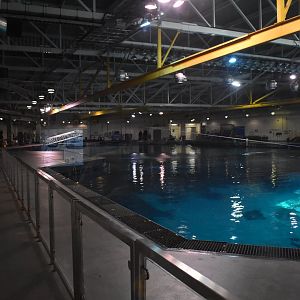 Ocean Voyager Above View