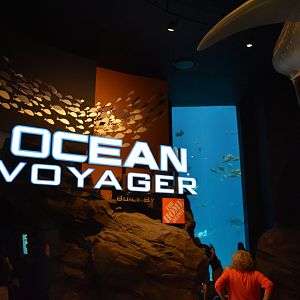 Ocean Voyager Entrance
