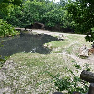 Nile Hippopotamus and Nyala mixed exhibit