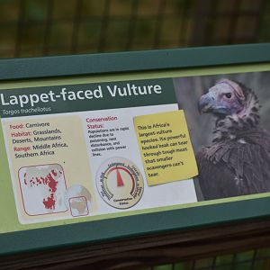 Vulture Signage