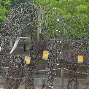 African Elephant Wire Statue