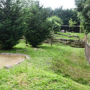 Barbary Apes exhibit