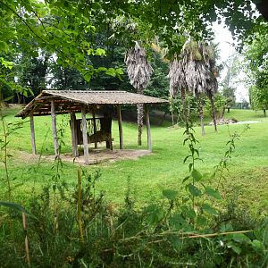 Sitatunga and Springbok exhibit