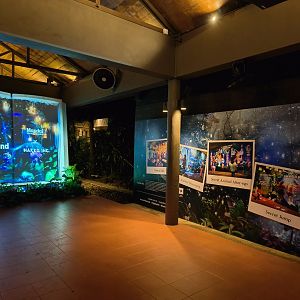 "Big Book" Secret Wild-erland