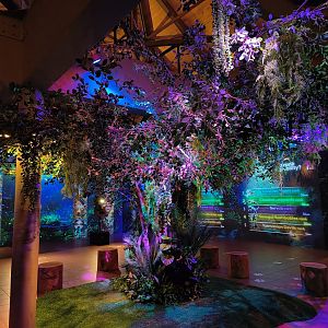 "Tree of Life" Secret Wild-erland