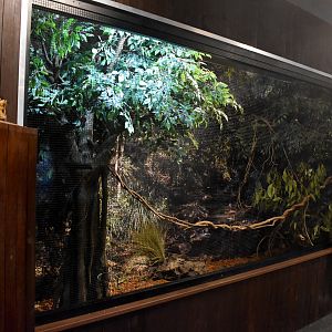 Cairns Koalas and Creatures (opened in 2024): bird aviary